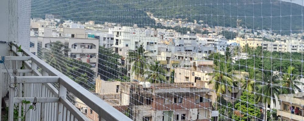 Pigeon Netting Service